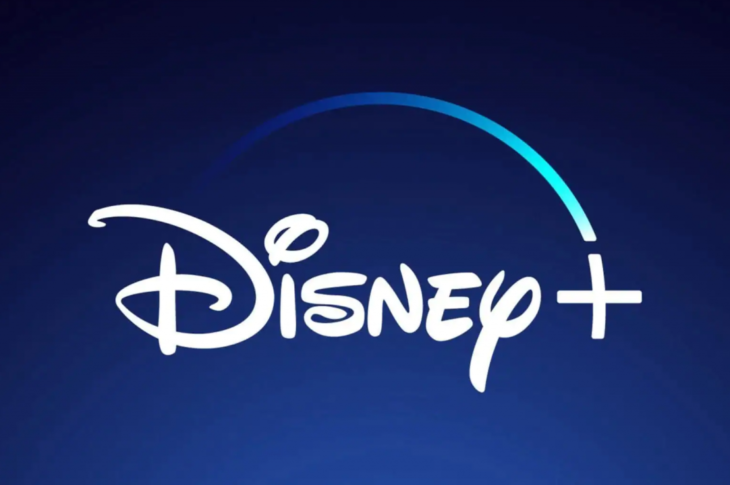 Streaming growth a silver lining in Disney earnings 11